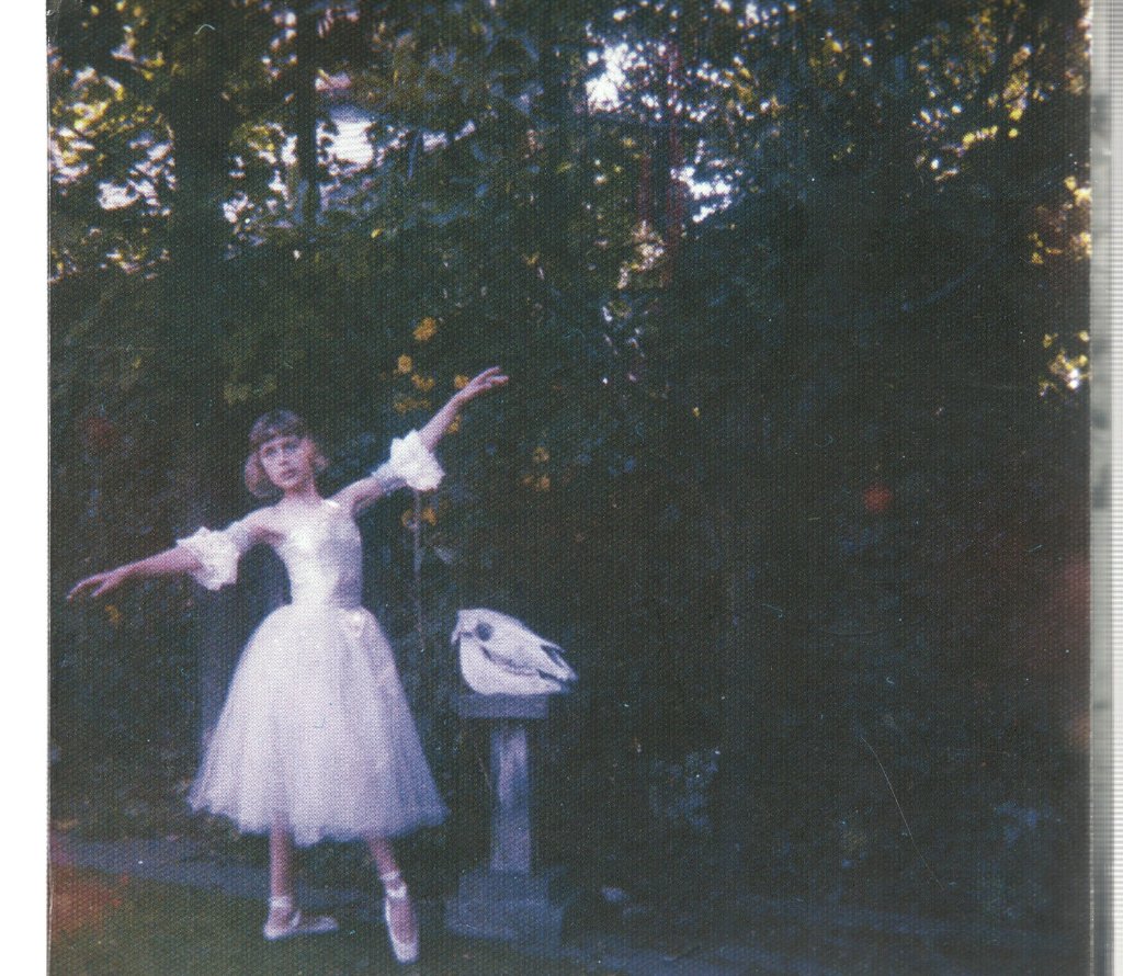 Wolf Alice - Visions Of A Life - Cd