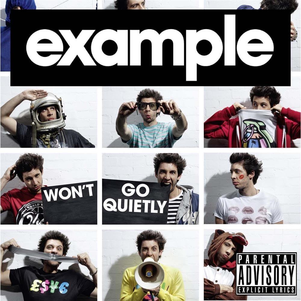 Example - Won't Go Quietly - Cd