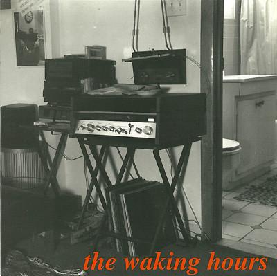 Waking Hours - Nothing To Hide - 7 Inch