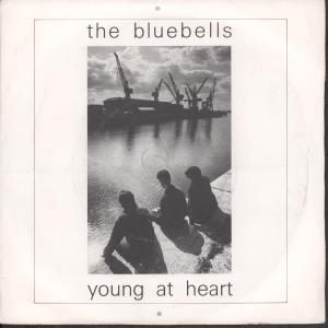 Bluebells - Young At Heart - 7 Inch