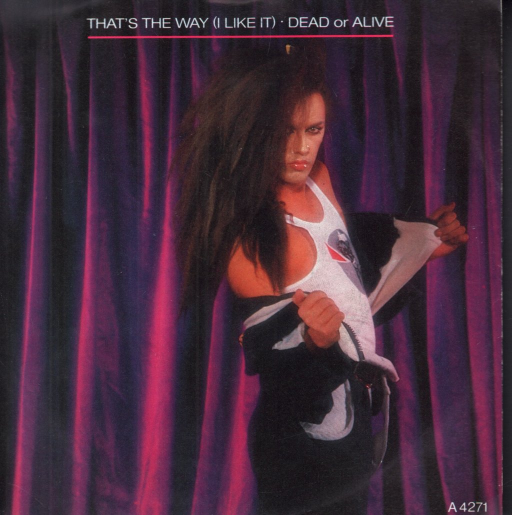 Dead Or Alive - That's The Way - 7 Inch