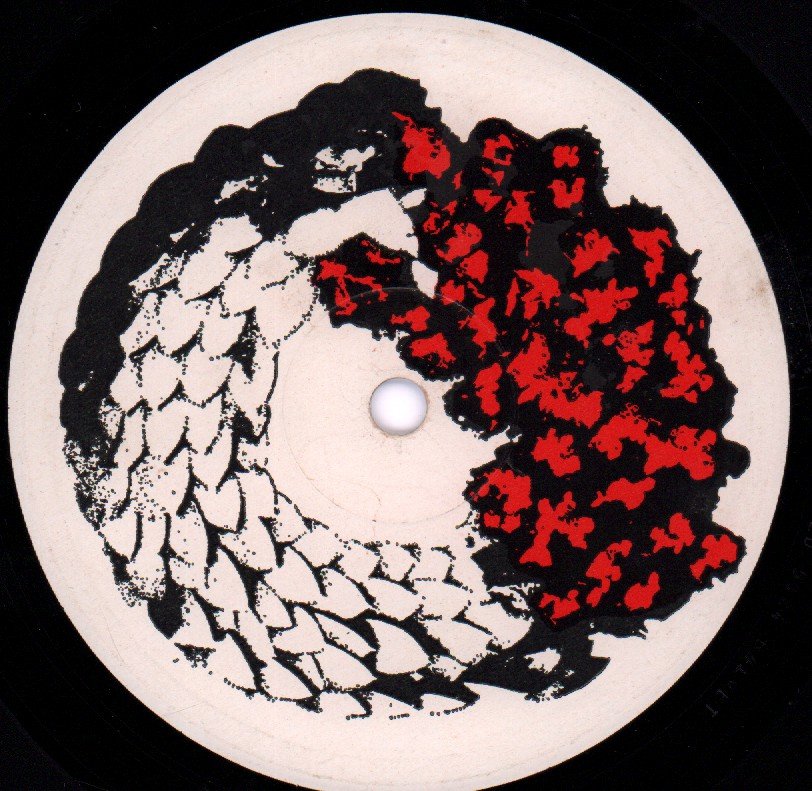 Siouxsie And The Banshees - Join Hands - Lp