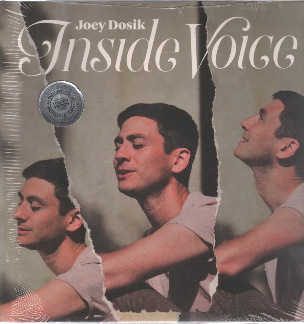 Joey Dosik - Inside Voice - Lp
