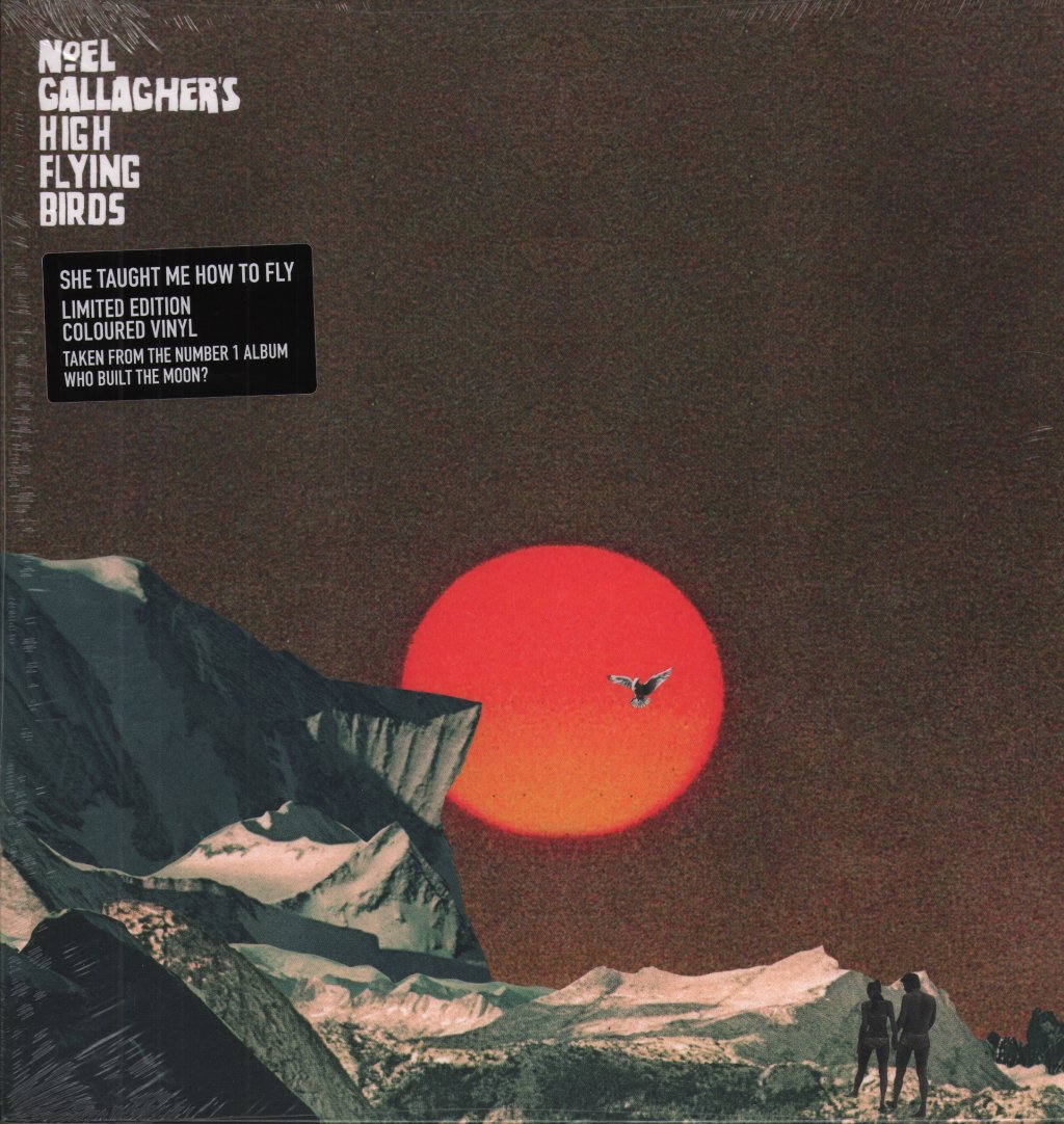 Noel Gallagher's High Flying Birds - She Taught Me How To Fly - 12 Inch