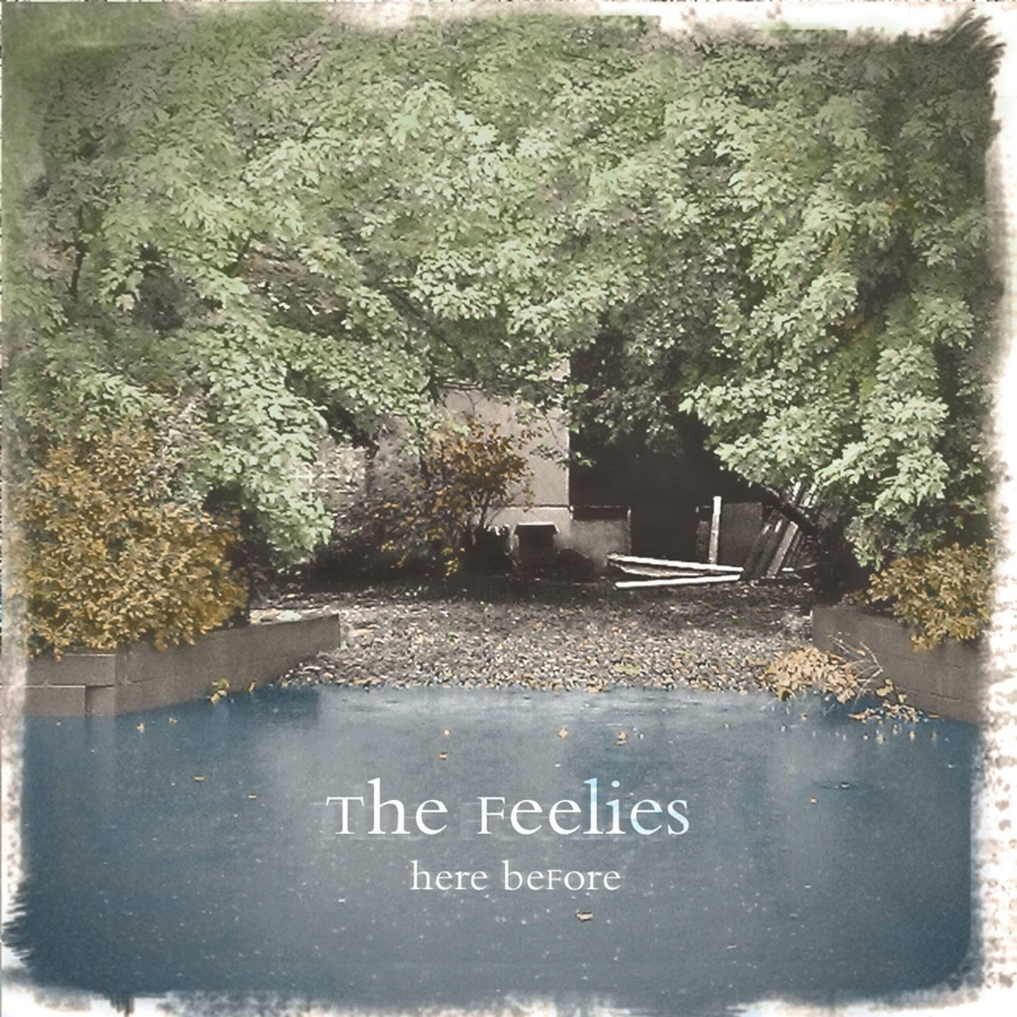 Feelies - Here Before - Lp