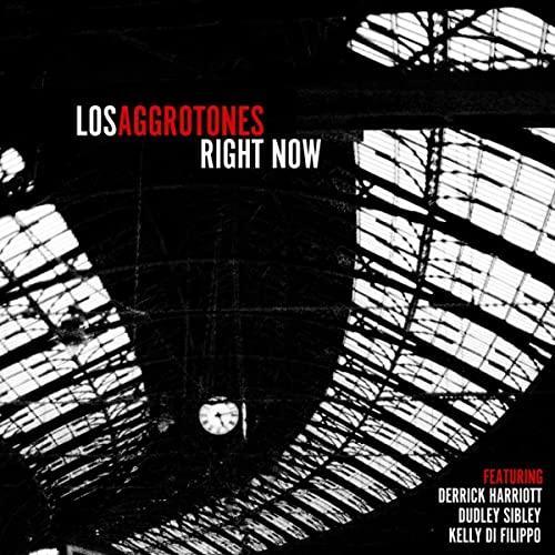 Los Aggrotones - Right Now - Lp