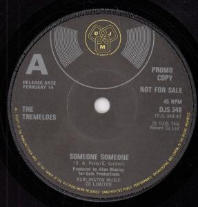 Tremeloes - Someone Someone - 7 Inch