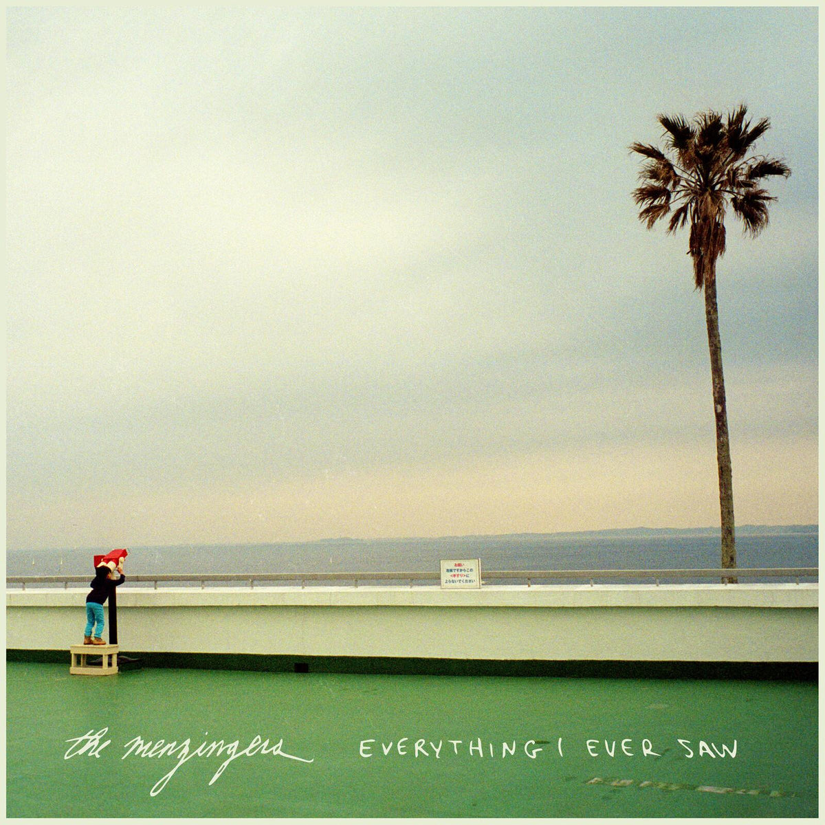 Menzingers - Everything I Ever Saw - Lp