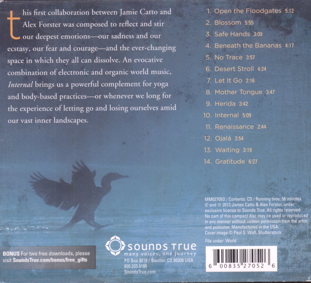 Jamie Cato & Alex Forster - Internal Music For Dissolving - Cd