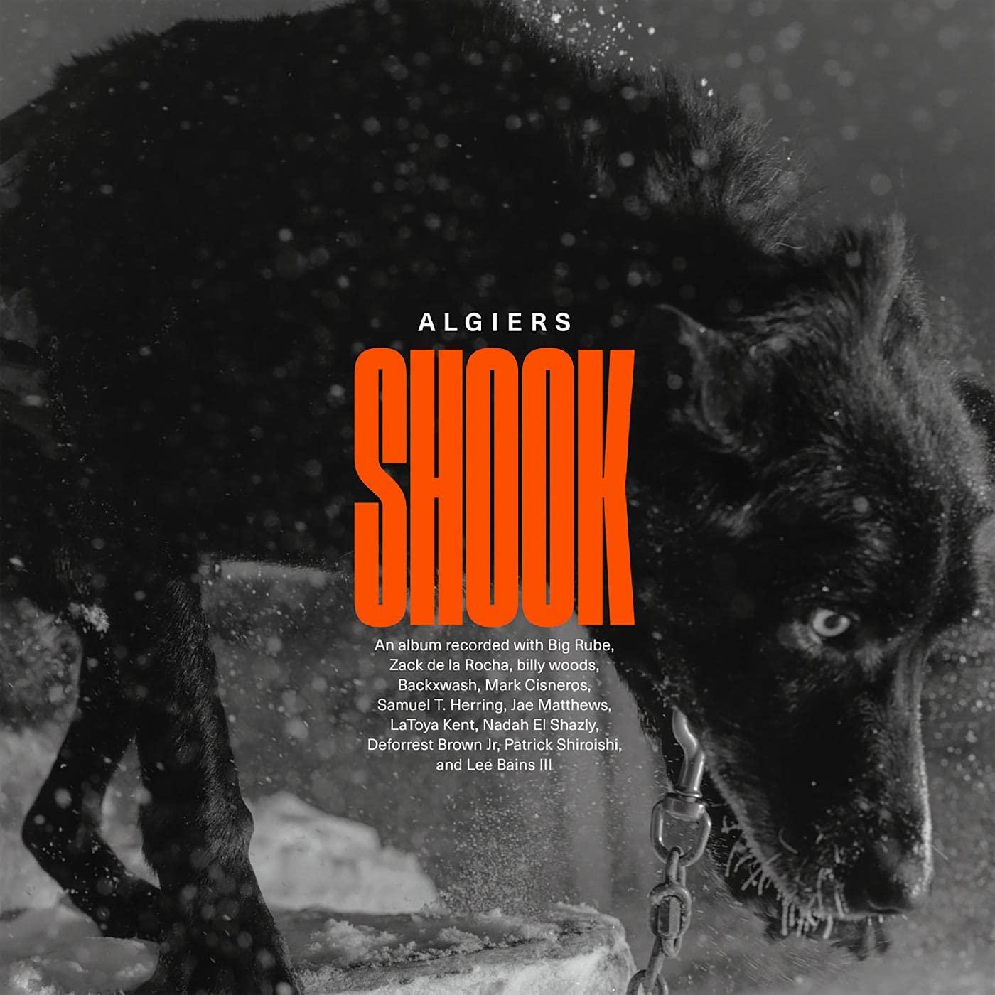 Algiers - Shook - Cd