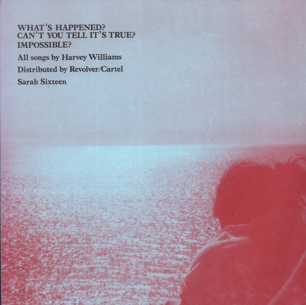 Another Sunny Day - What's Happened - 7 Inch