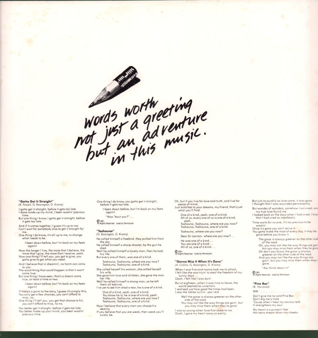 Rossington Collins Band - This Is The Way - Lp