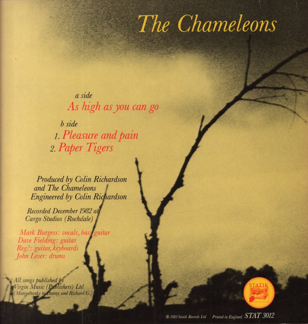Chameleons - As High As You Can Go - 12 Inch