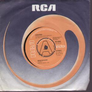 Arizona (70'S Group) - Windwishin - 7 Inch