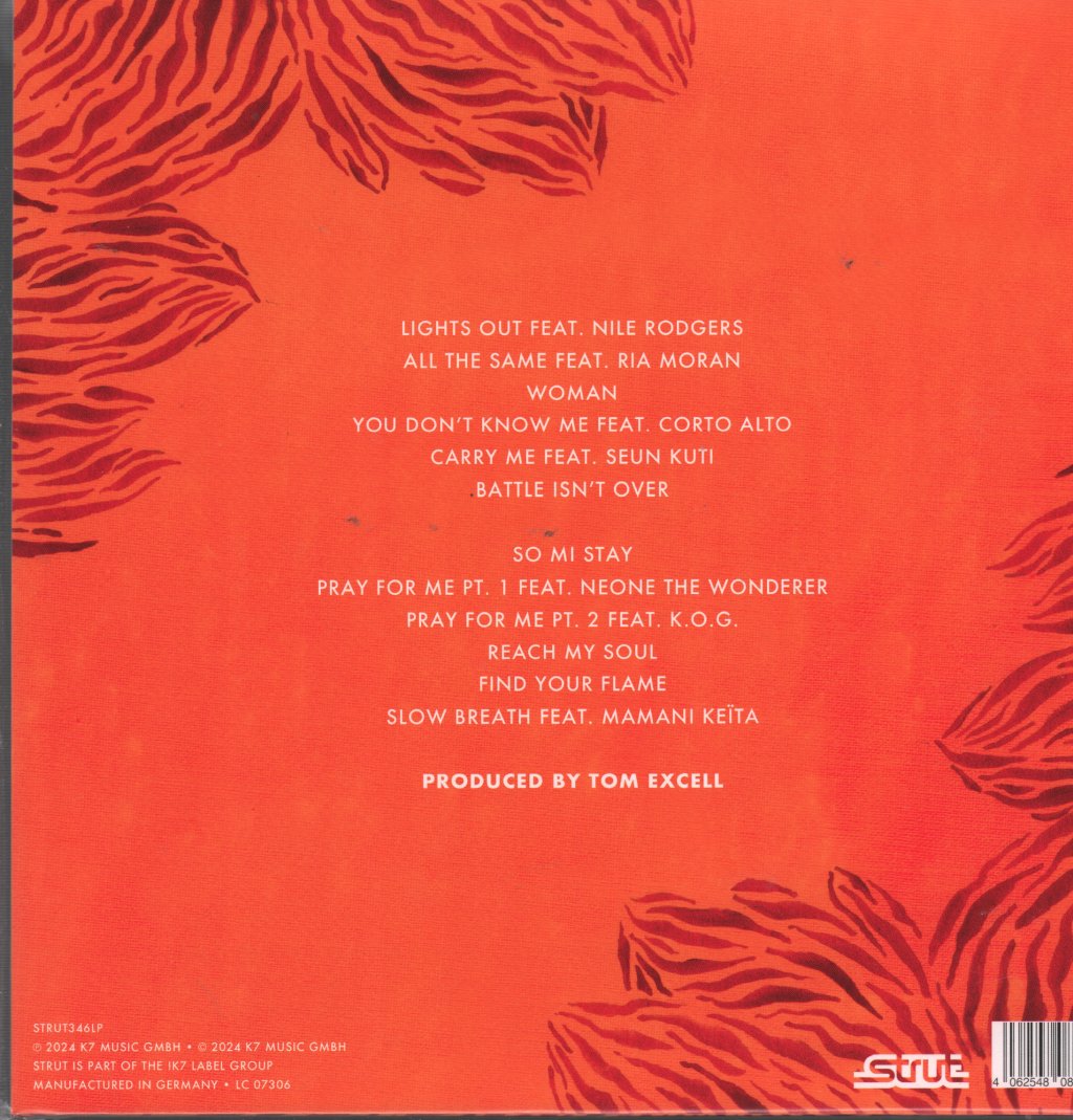 Nubiyan Twist - Find Your Flame - Lp