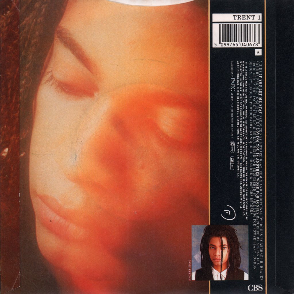 Terence Trent D'Arby - If You Let Me Stay - 7 Inch