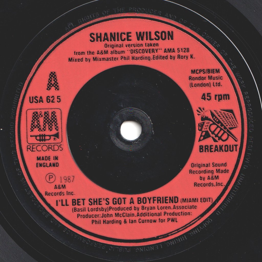 Shanice Wilson - I'll Bet She's Got A Boyfriend - 7 Inch