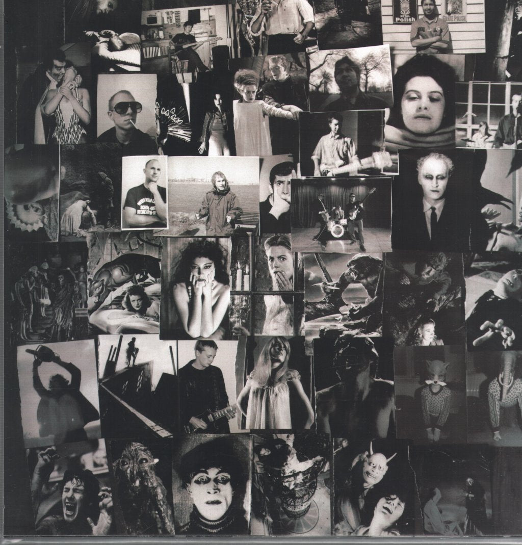 Wave Pictures - Gained/Lost - Lp