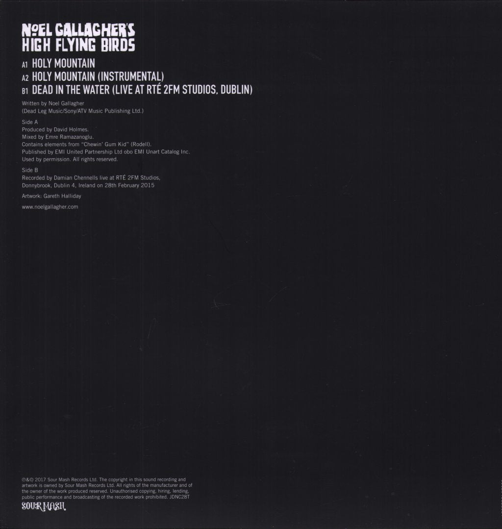 Noel Gallagher's High Flying Birds - Holy Mountain - 12 Inch