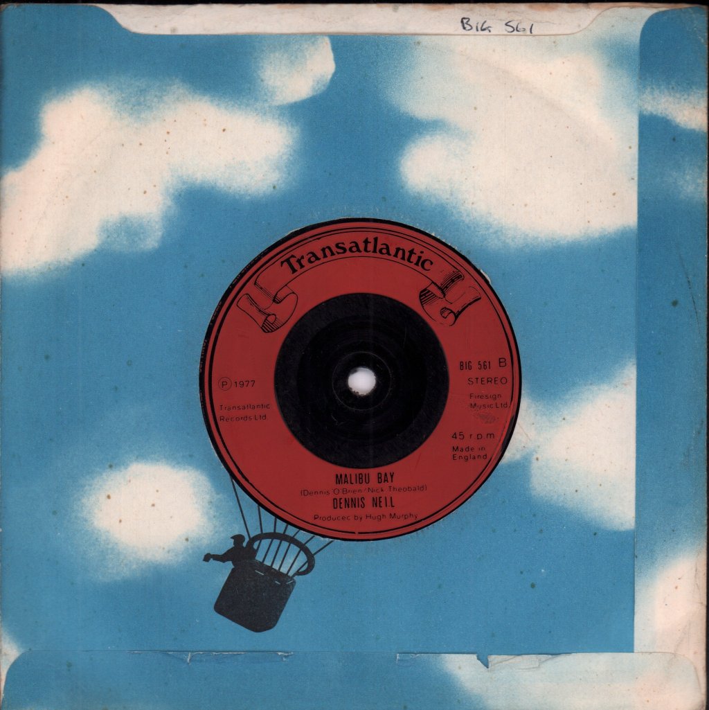 Dennis Neil - Sally In The Moonlight - 7 Inch
