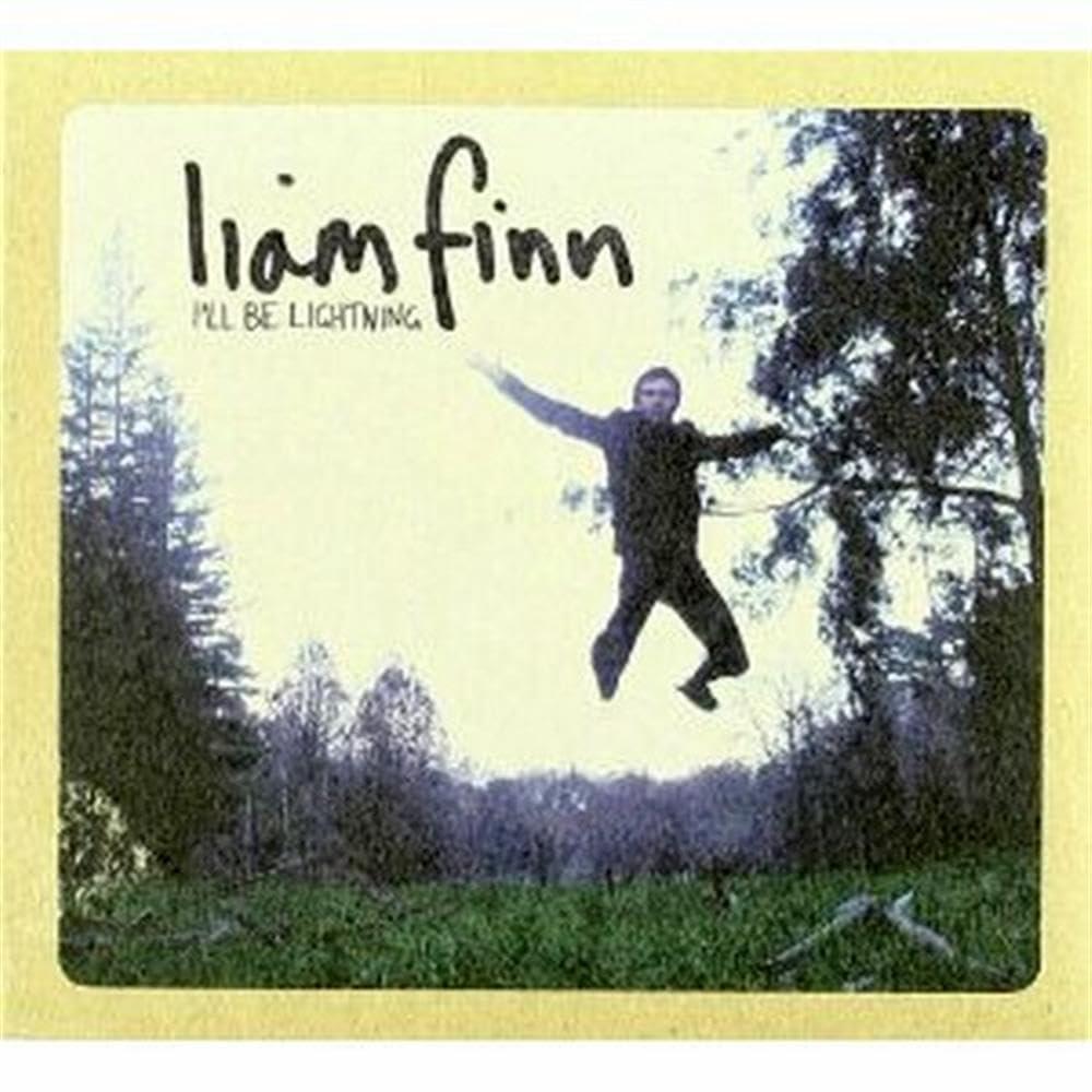 Liam Finn - I'll Be Lightning - Cd