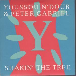 Youssou N'dour And Peter Gabriel - Shakin' The Tree - 7 Inch