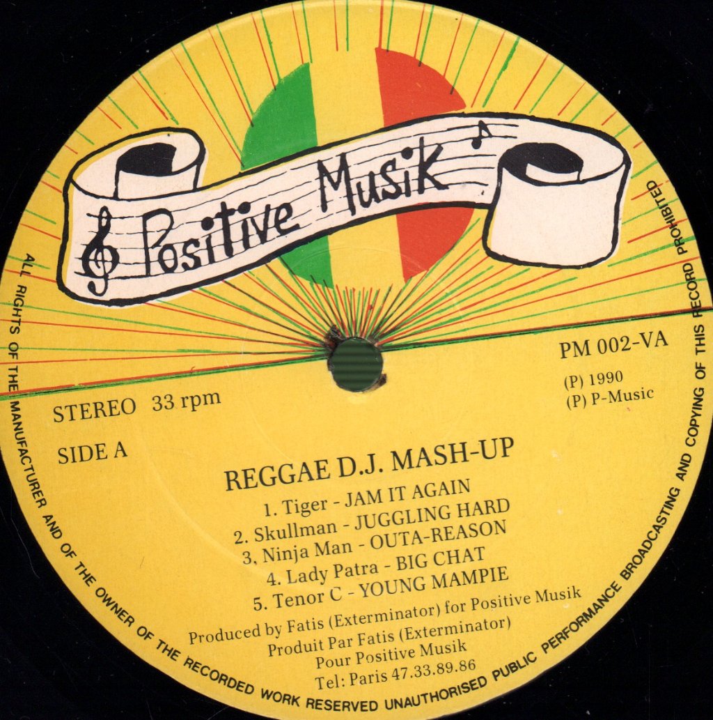 Various Artists - Reggae DJ Mash-Up - Lp