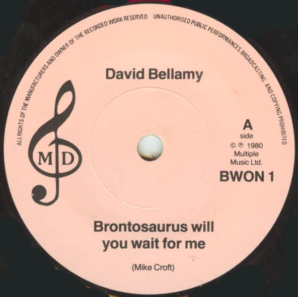David Bellamy - Brontosaurus Will You Wait For Me? - 7 Inch