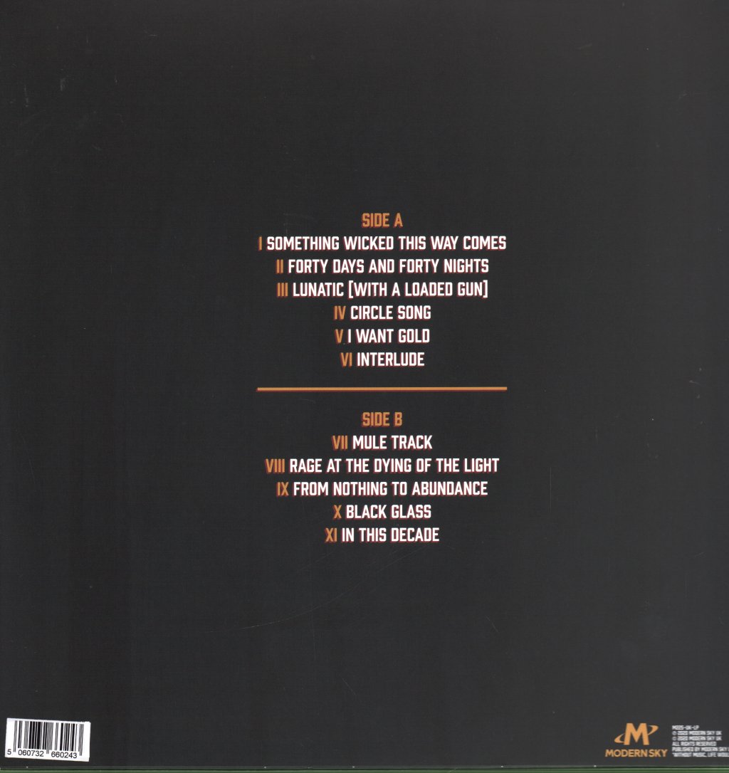 Blinders - Fantasies Of A Stay At Home Psychopath - Lp