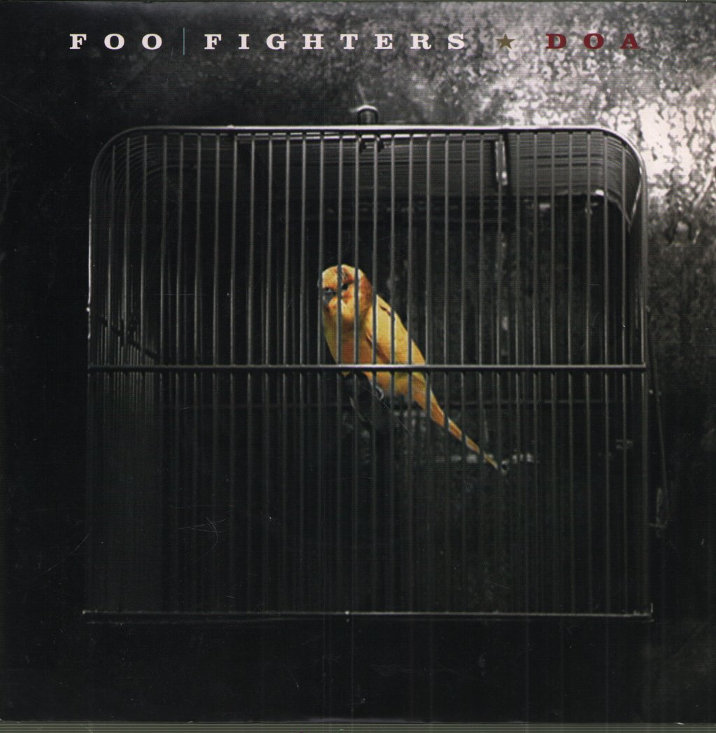 Foo Fighters - DOA - 7 Inch