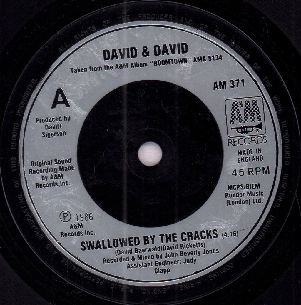 David And David - Swallowed By The Cracks - 7 Inch