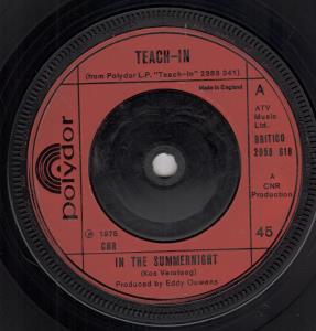 Teach In - In The Summernight - 7 Inch