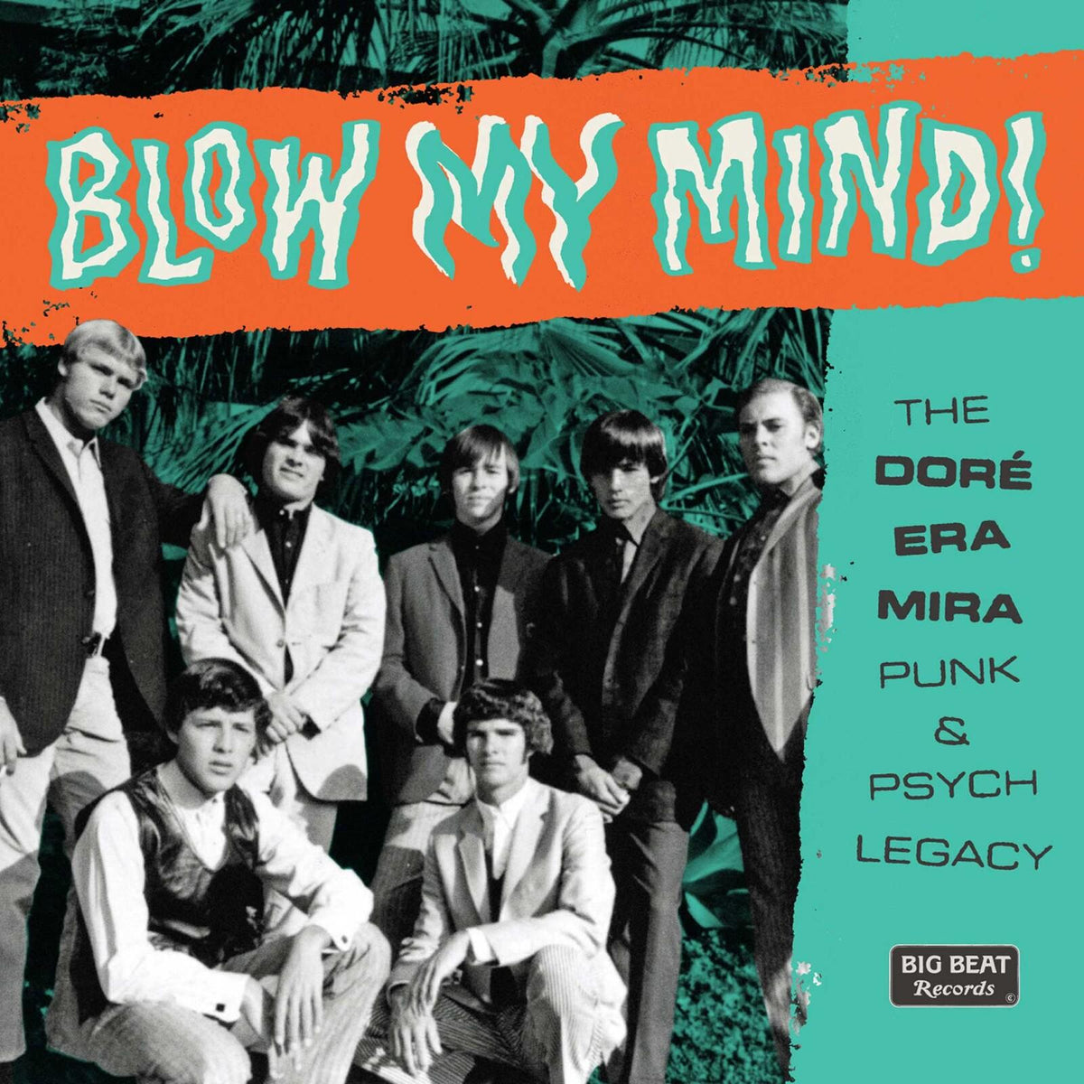 Various Artists - Blow My Mind! the Dore-Era-Mira Punk & Psych Legacy - Cd