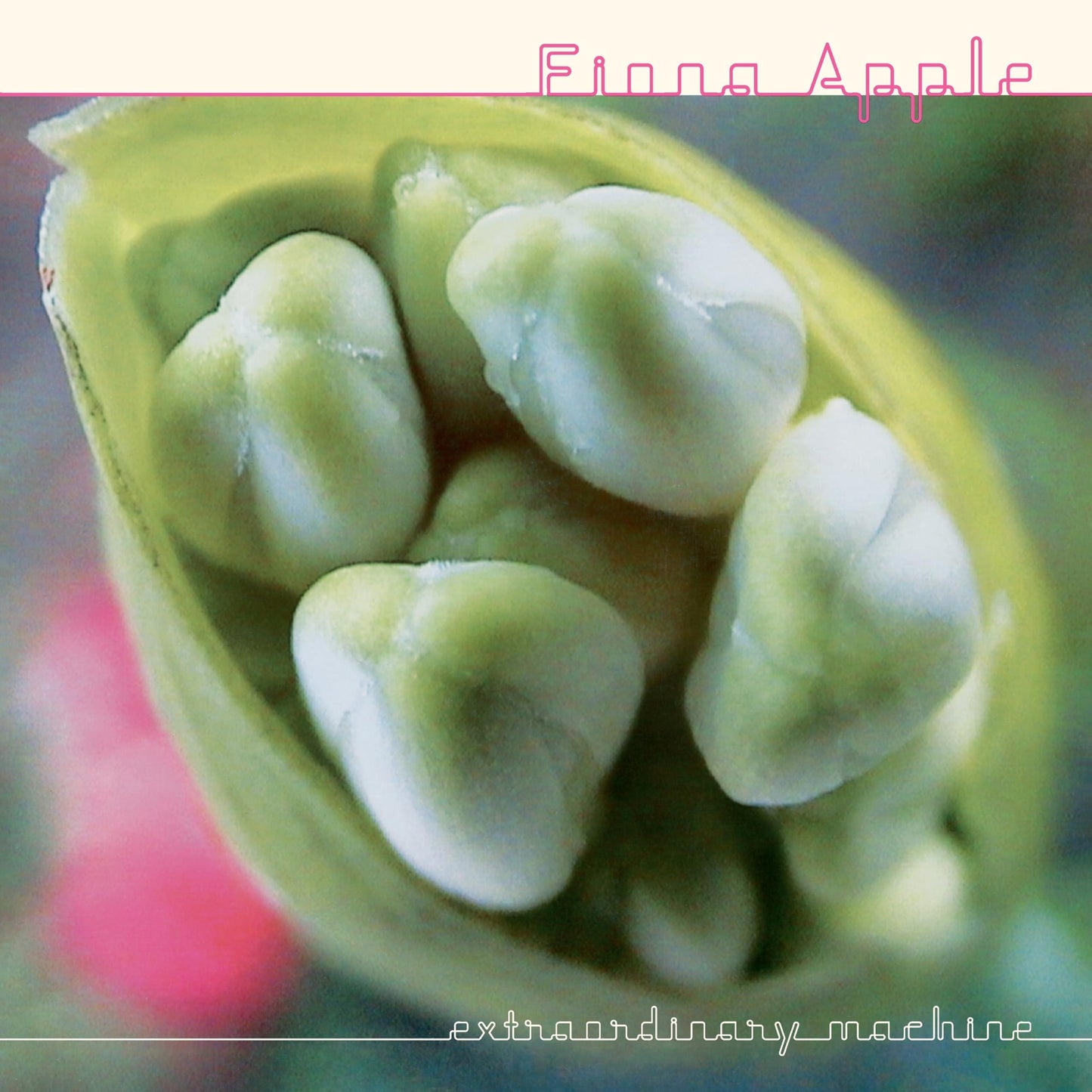 Fiona Apple - Extraordinary Machine - Double Lp