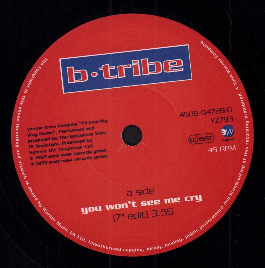 B Tribe - You Won't See Me Cry - 7 Inch