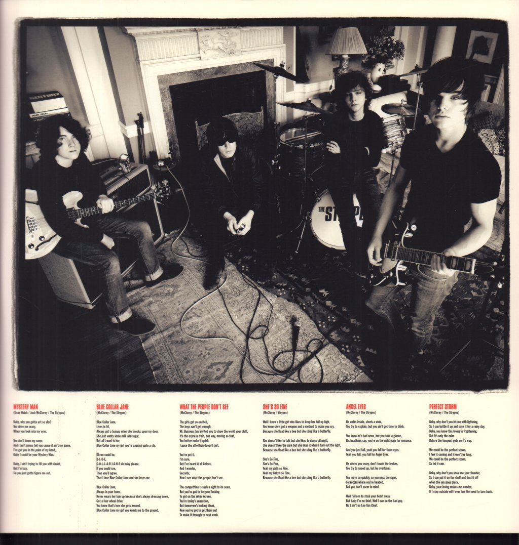 Strypes - Snapshot - Lp