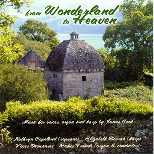 Various Artists - Cook:wonderland To Heaven - Cd