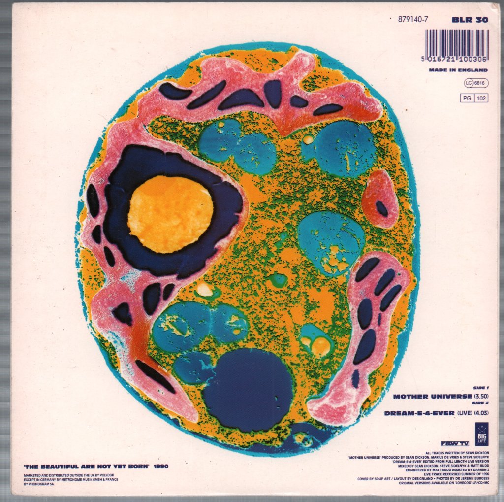 Soup Dragons - Mother Universe - 7 Inch