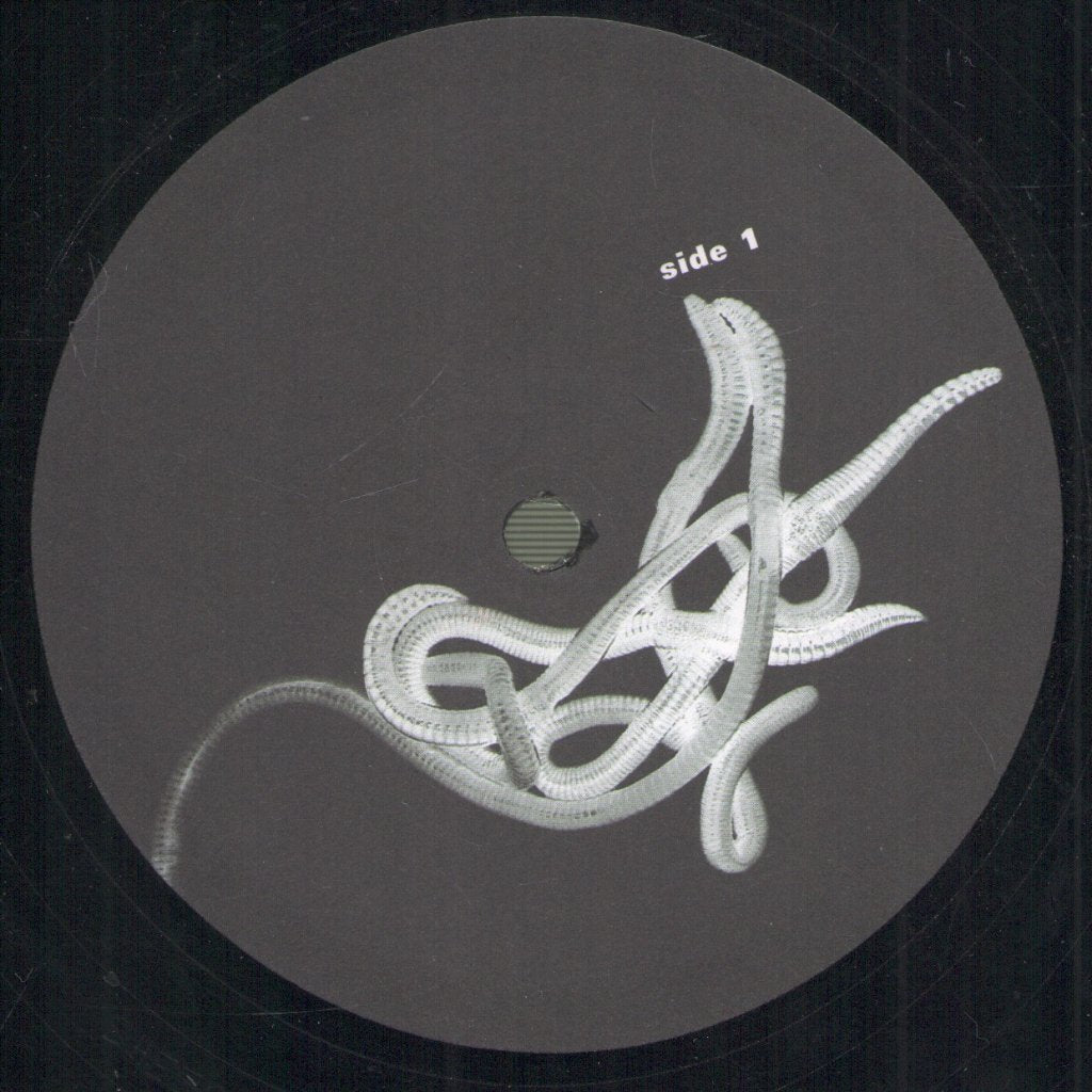 Scheer - Shea - 12 Inch