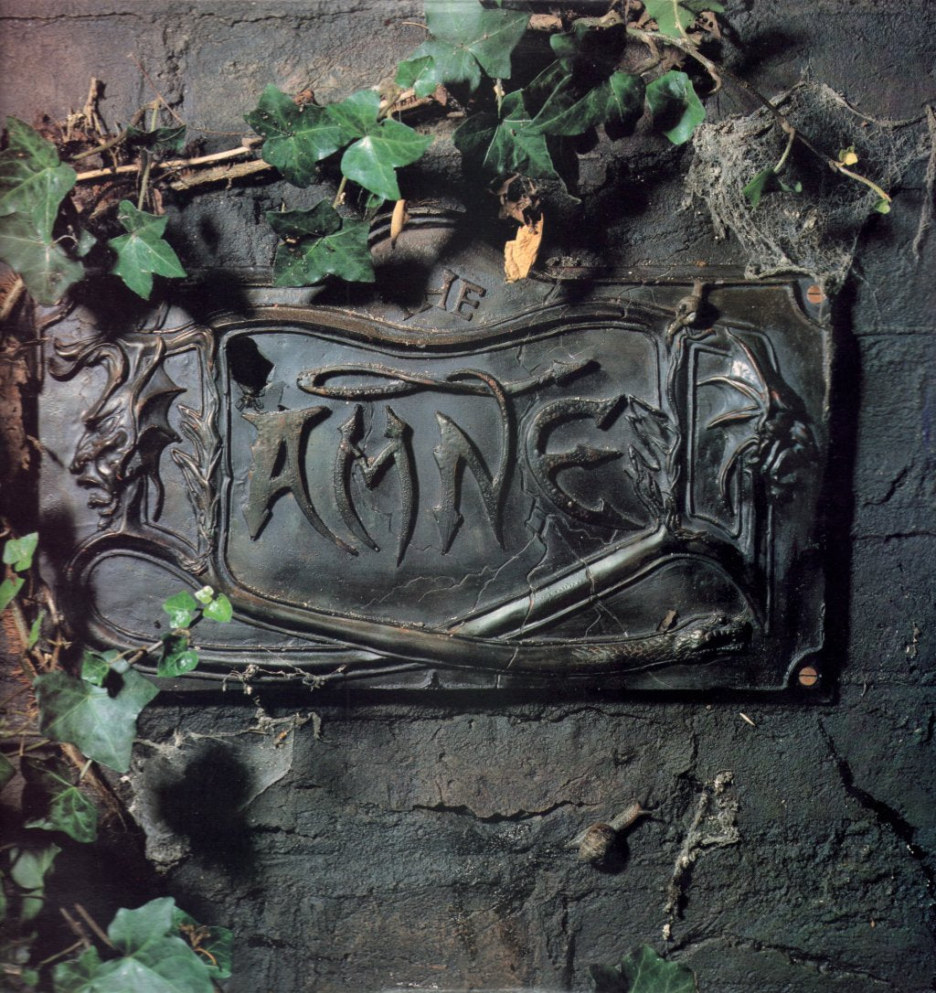 Damned - Black Album - Double Lp