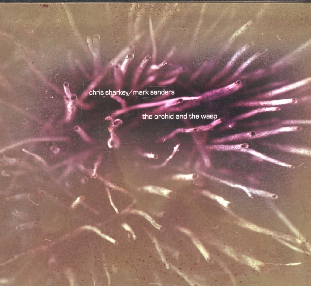 Chris Sharkey, Mark Sanders - Orchid And The Wasp - Cdr