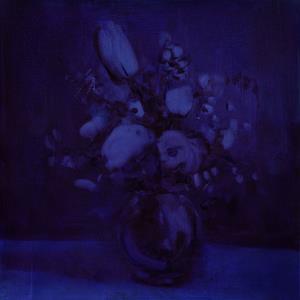 Deaf Wish - Lithium Zion - Cd