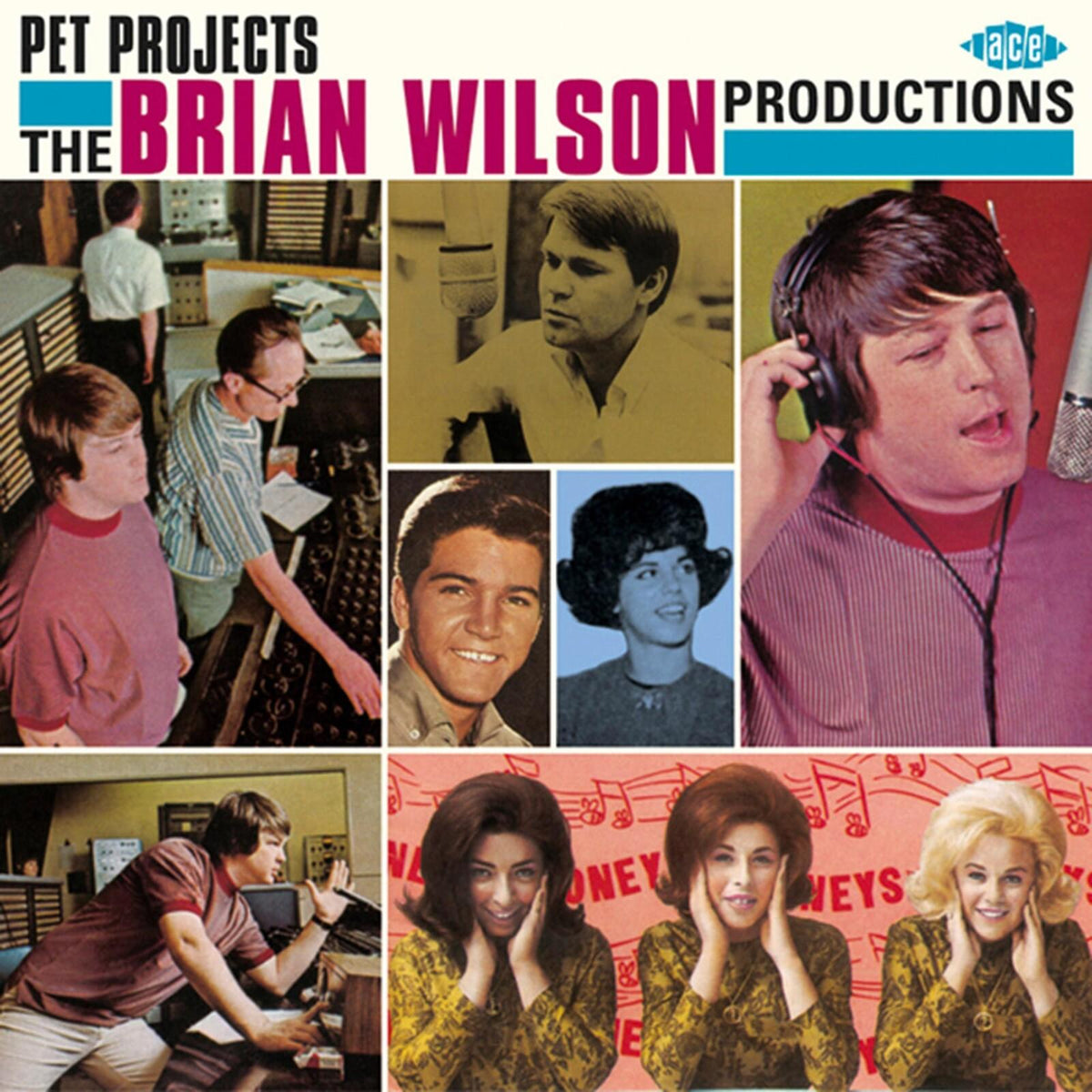 Brian Wilson - Pet Projects: the Brian Wilson Productions - Cd