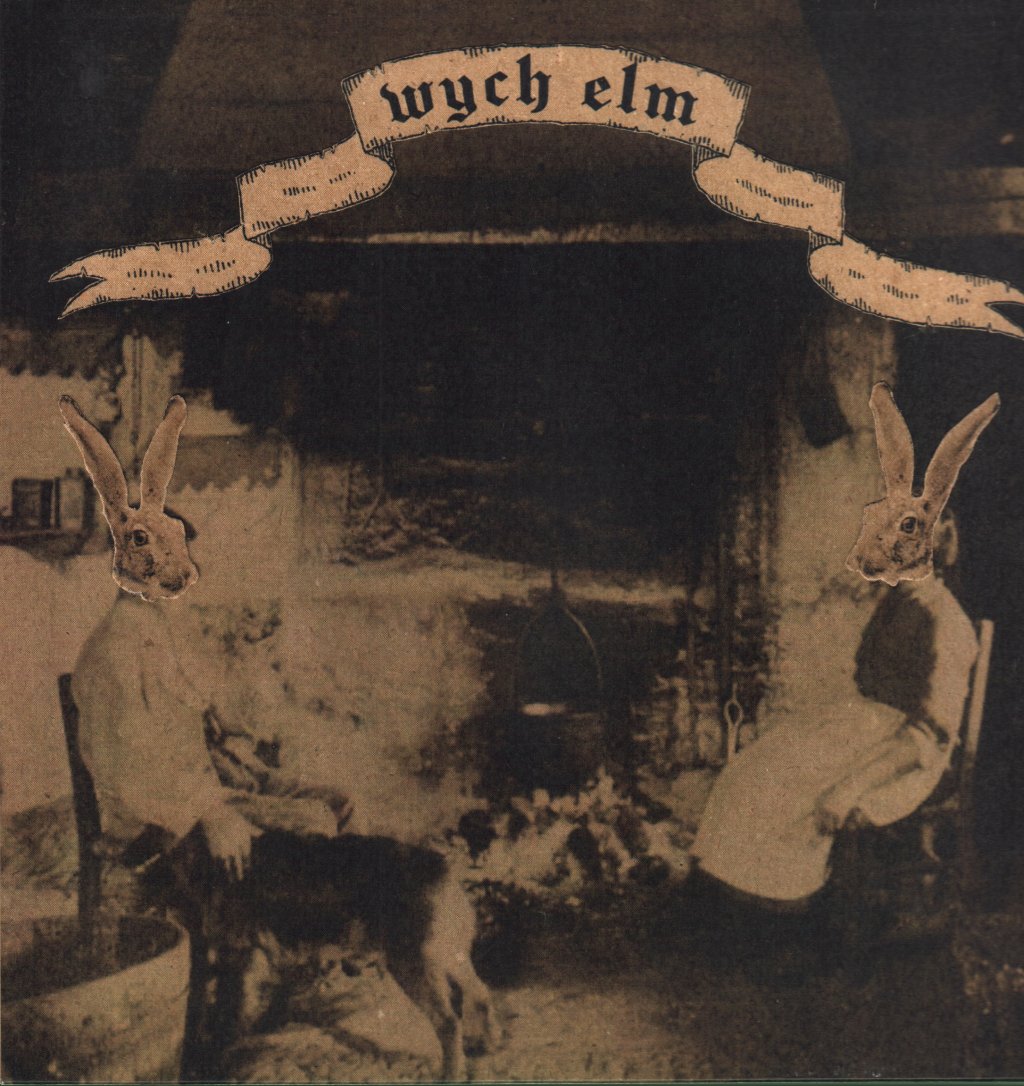 Wych Elm - Rabbit Wench - 12 Inch
