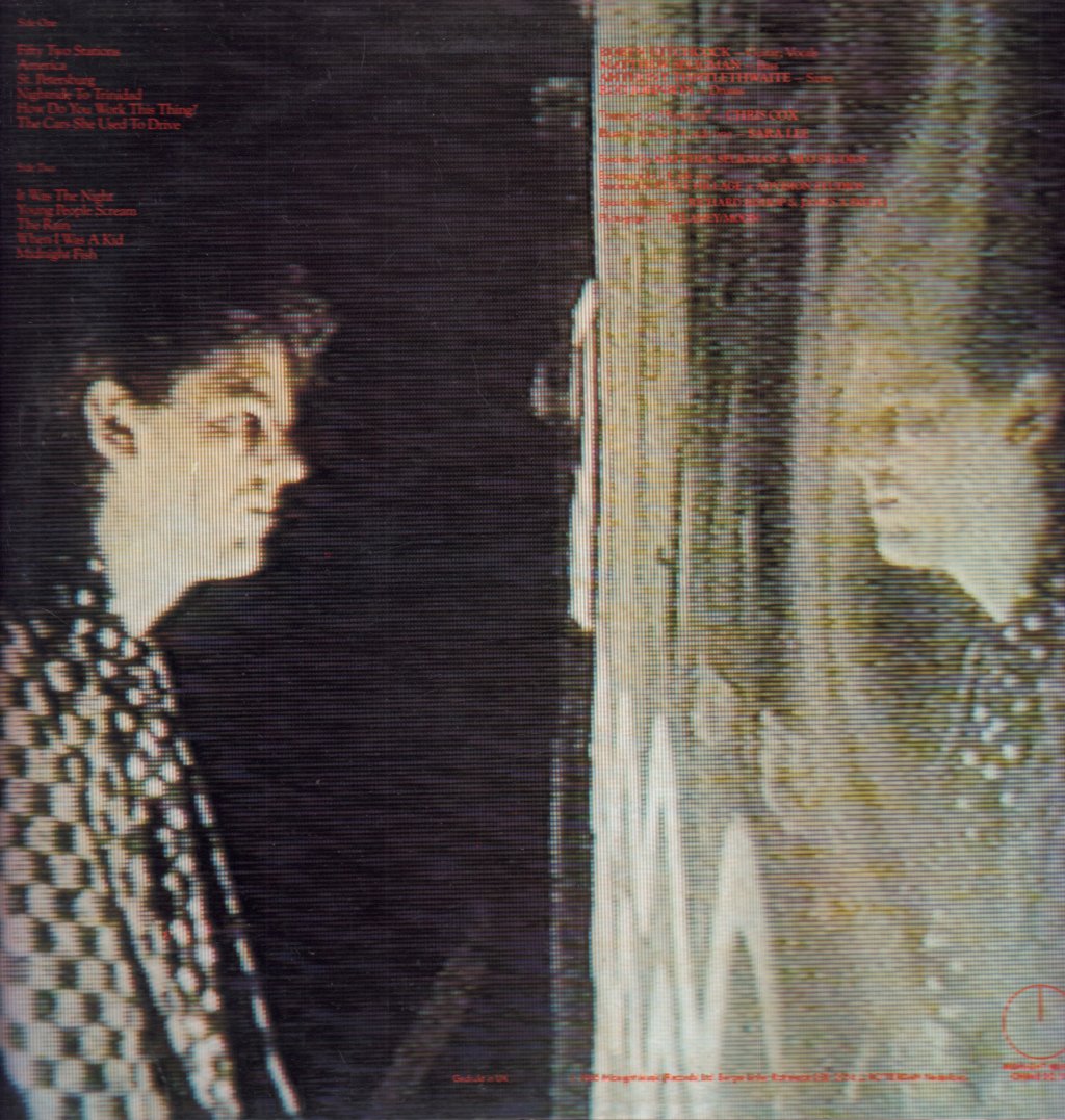 Robyn Hitchcock - Groovy Decoy - Lp