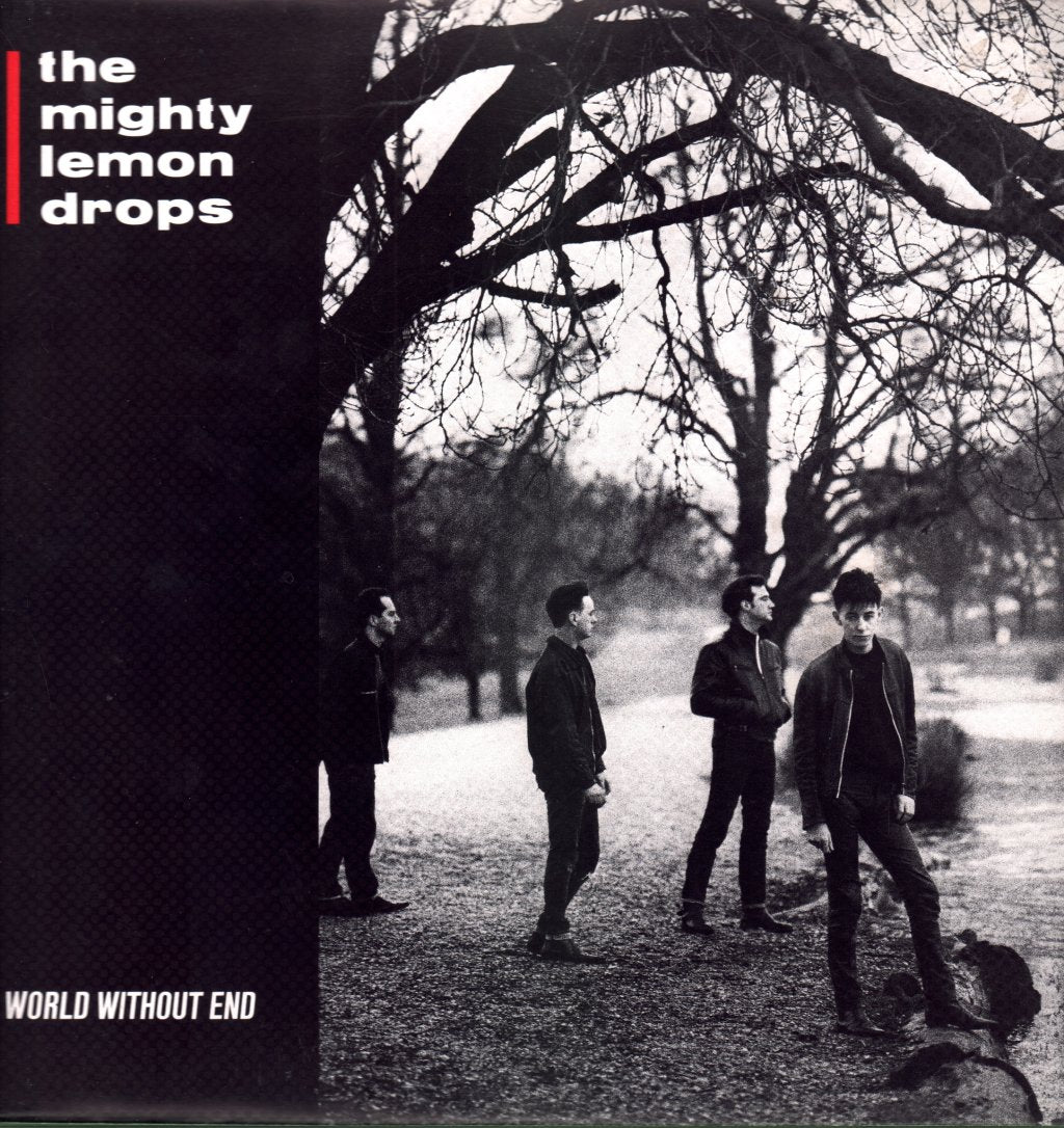 Mighty Lemon Drops - World Without End - Lp