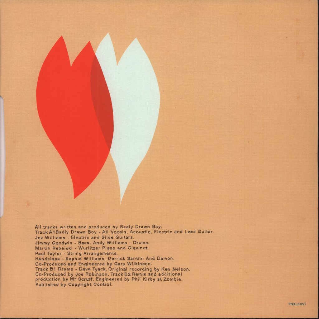 Badly Drawn Boy - Disillusion - 10 Inch