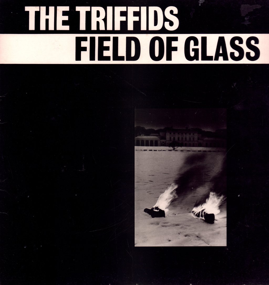 Triffids - Field Of Glass - 12 Inch