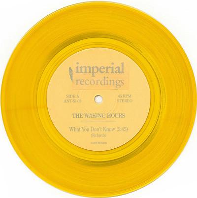 Waking Hours - What You Don't Know - 7 Inch