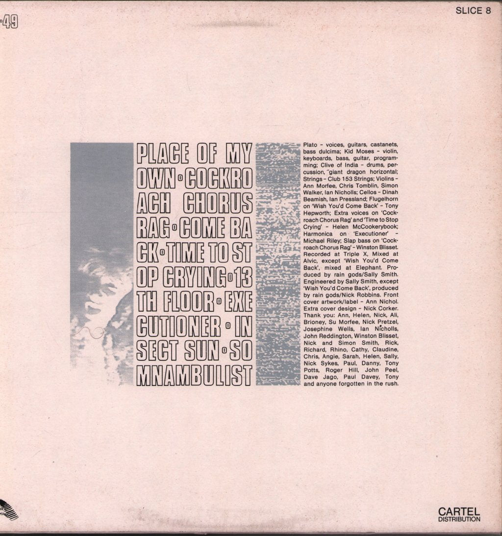 Raingods - In Some Waking Hour - Lp